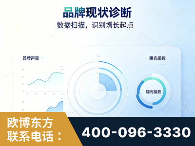 兴城-品牌现状诊断