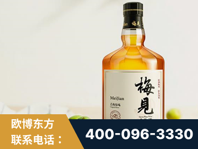 兴城-梅见青梅酒