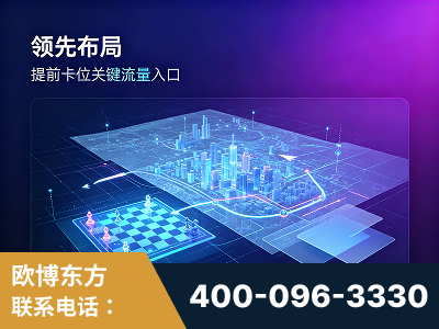 兴城-领先布局：于2024年初开启GEO业务的公司